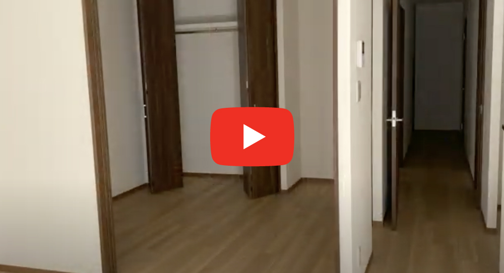 プランドール・Y